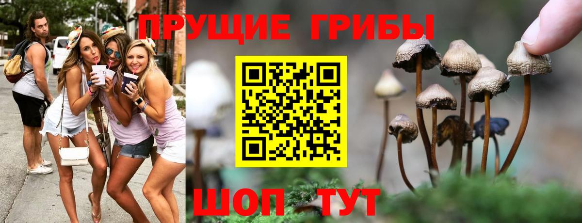 Воронеж  Галлюциногенные грибы Psilocybe  Вход с VPN 